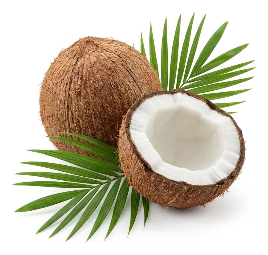 Polpa di Cocco