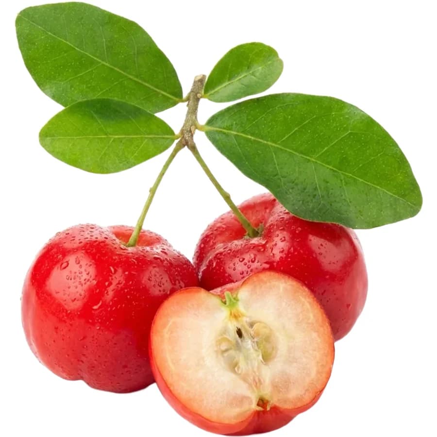 Polpa di Acerola