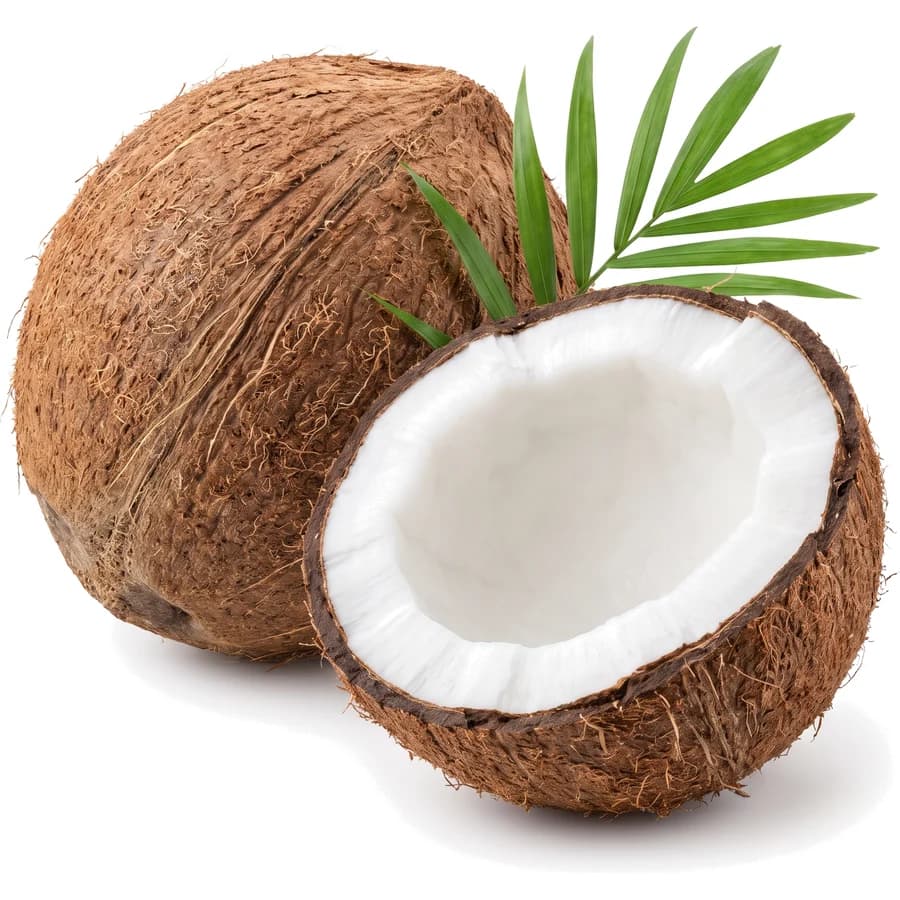 Polpa di Cocco