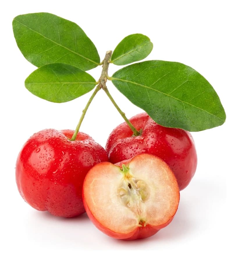 Polpa di Acerola